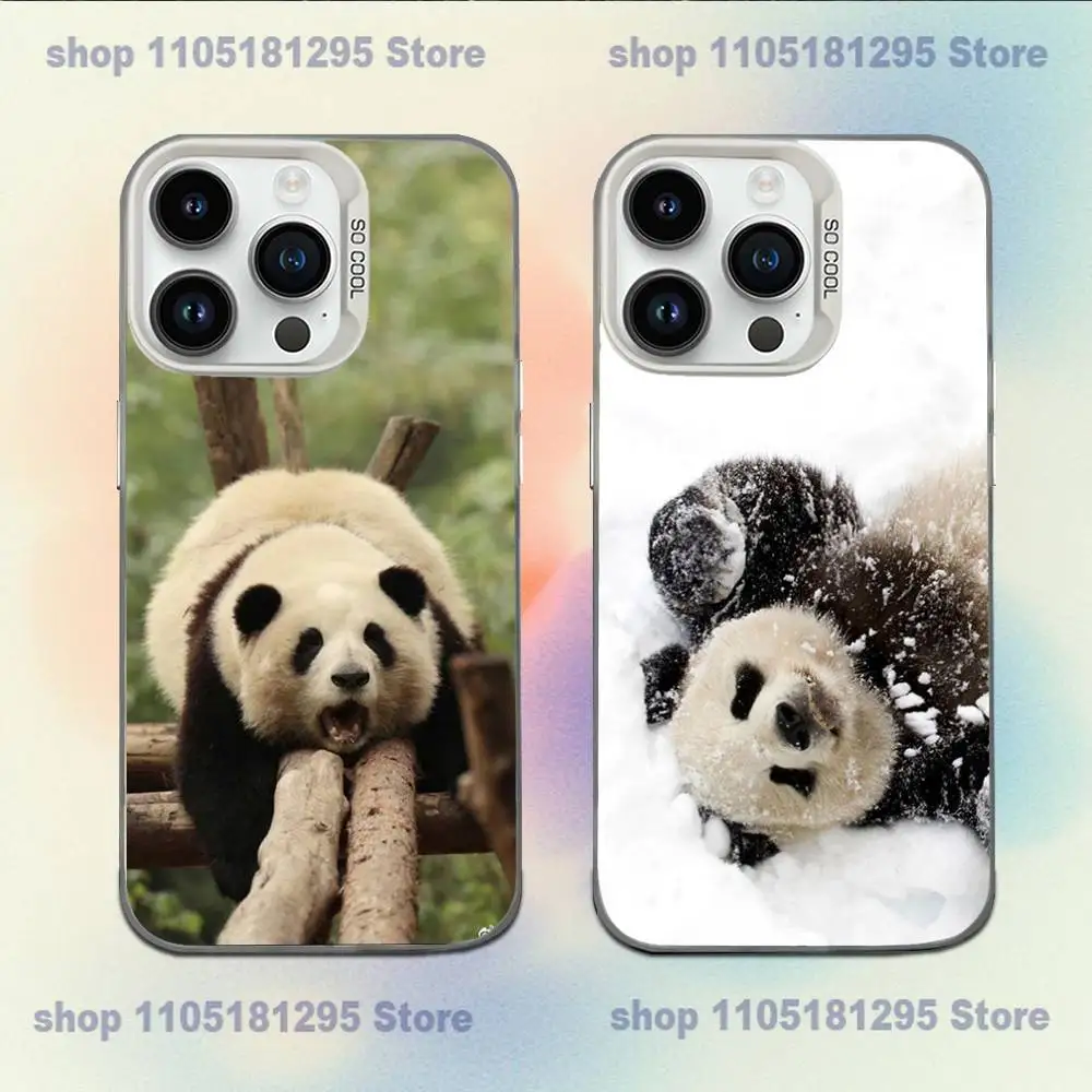 

Cute Animal Panda Phone Case For iPhone XR,17,16,15,14,13,12,11,X,Mini,Pro,E,MAX White Candy Matte Shockproof Cover