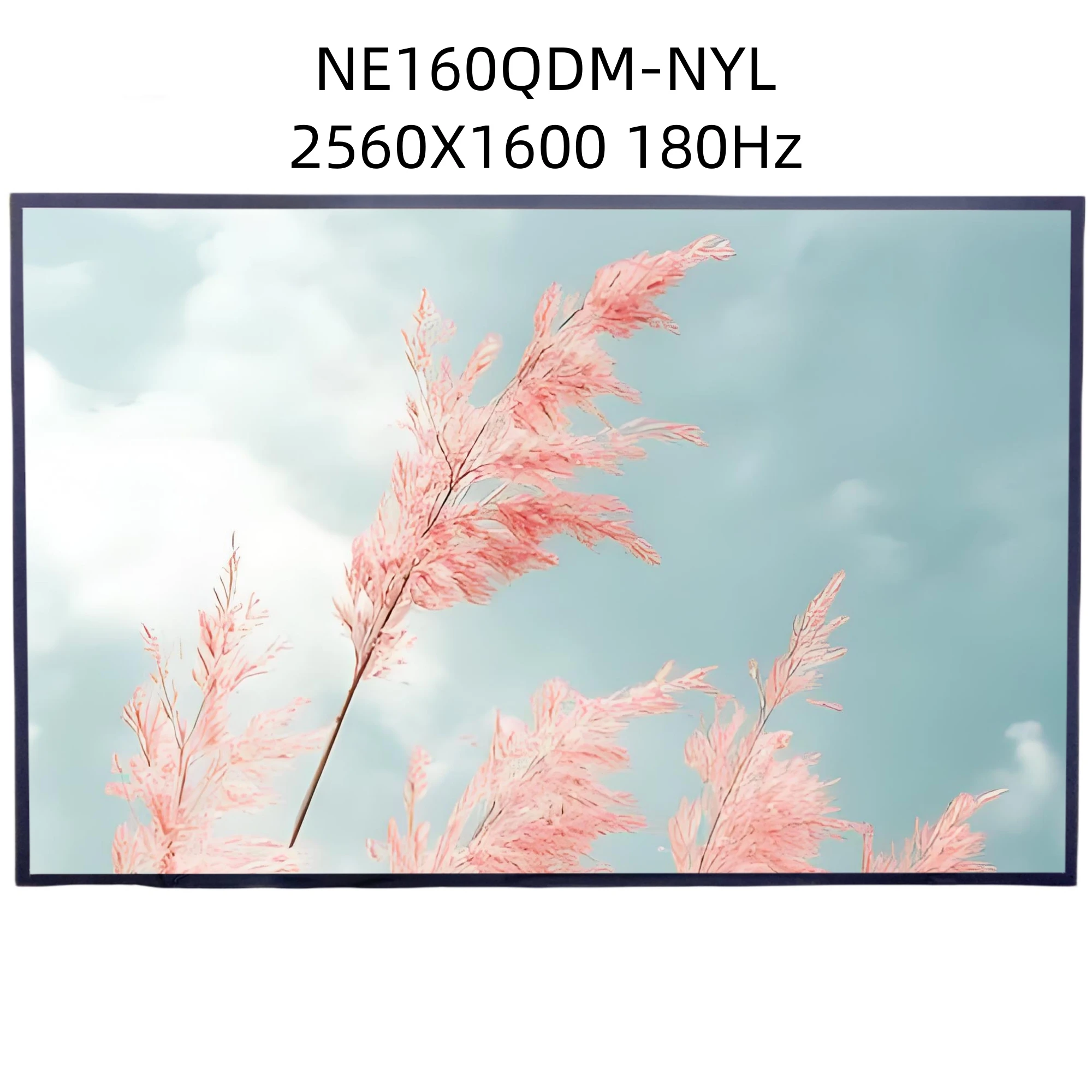 

NE160QDM-NYL Панельный матричный ЖК-экран для ноутбука IPS 16,0 дюймов, оригинальный дисплей 2560X1600, 180 Гц