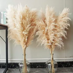 80-120cm Pampas Grass Large Tall Fluffy Pampas Dried Flowers Boho Decor Plant for Vase Flower Arrangement Home Wedding Decor