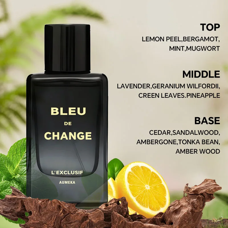 

AUMEKA Bleu L'Exclusif Perfume For Men Original Luxury Arabes Woody Long Lasting Parfum Fragrance Spray 65ml Man Gift Makeup