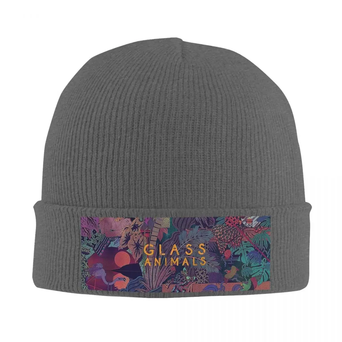 Glass Animals Zaba Warm Knitted Cap Hip Hop Bonnet Hat Autumn Winter Outdoor Beanies Hats for Unisex Adult