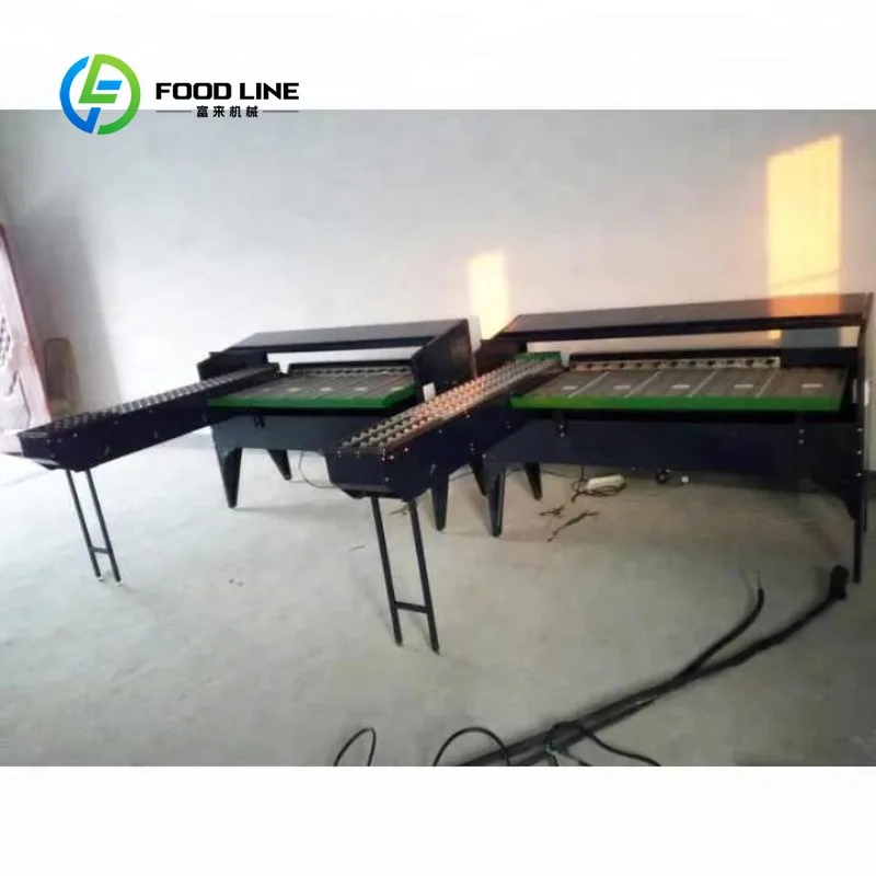 Industrial Class 6 3000 Pieces Weight and Size Classification Small Chicken and Duck Egg Grader For Sale