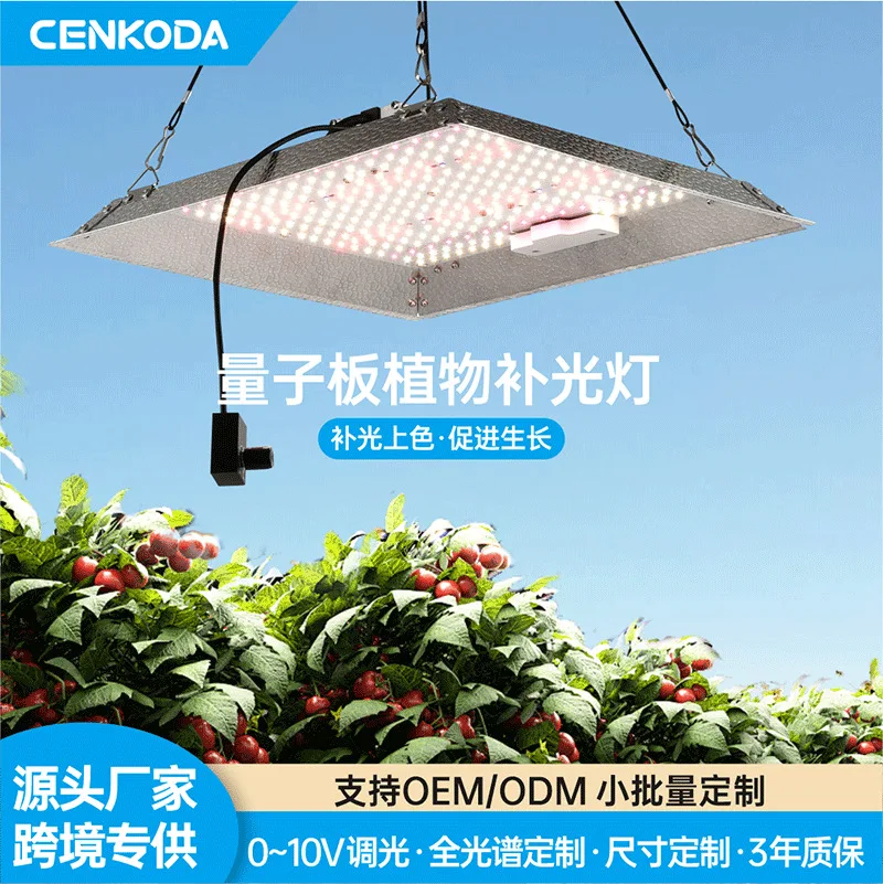 2025 Sheet Metal Cover LED Plant Fill Light Dimmable 100W Rainproof Plant Growth Light Multi-purpose Plant Seeding Light Hot