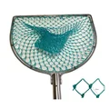 C double ring Green