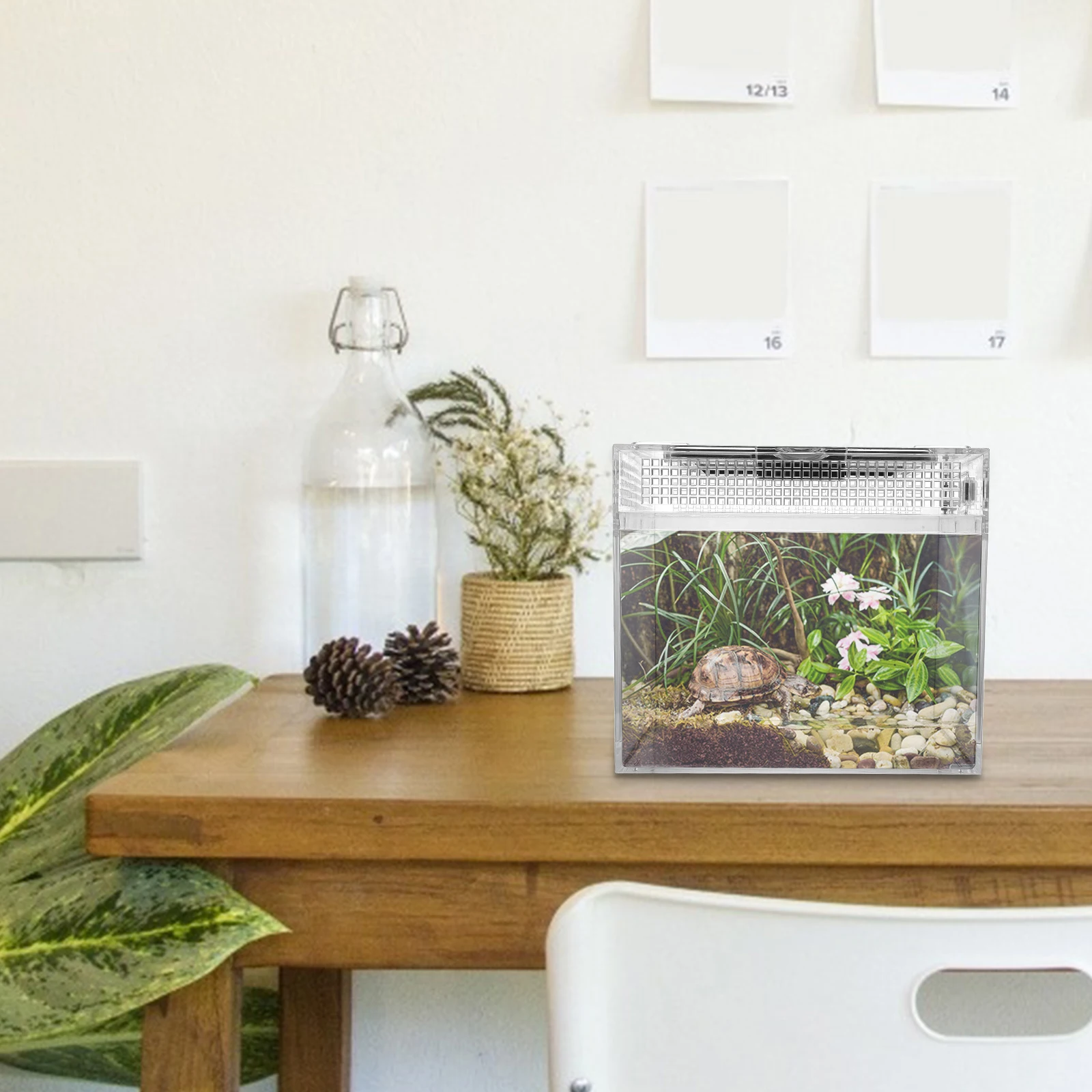 

1Pcs Reptile Feeding Box Transparent Medium Size Lightweight Breeding Container for Snakes Tarantulas Geckos Lizard