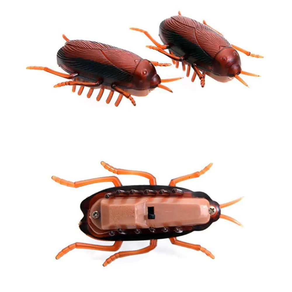 

Kitten Electronic Novelty Gag Toys Kids Training Play Toy Battery Cockroach