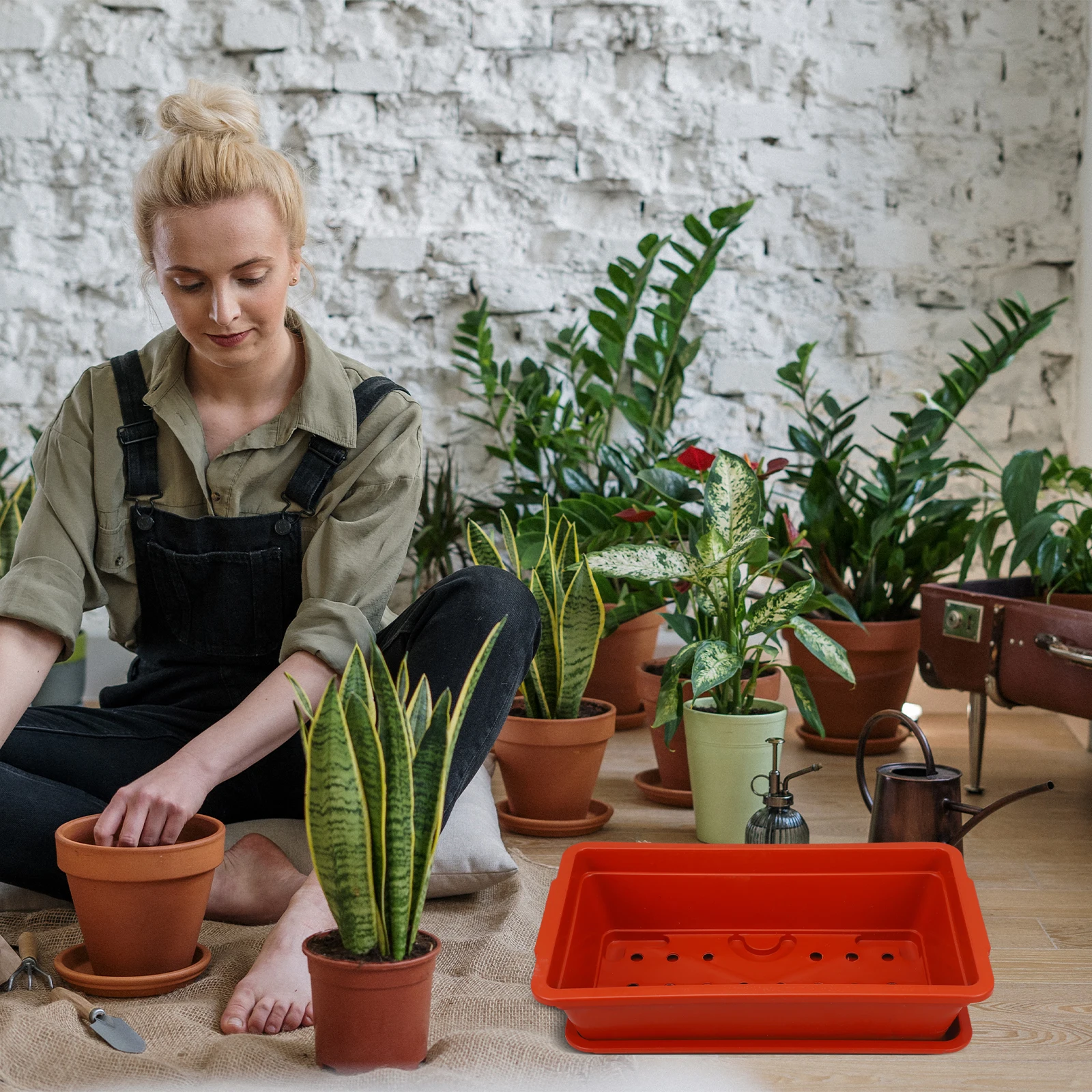 

Rectangular Vegetable Planter Box Premium Plastic Flower Pot Garden Succulents Indoor Outdoor Planting Drainage Holes