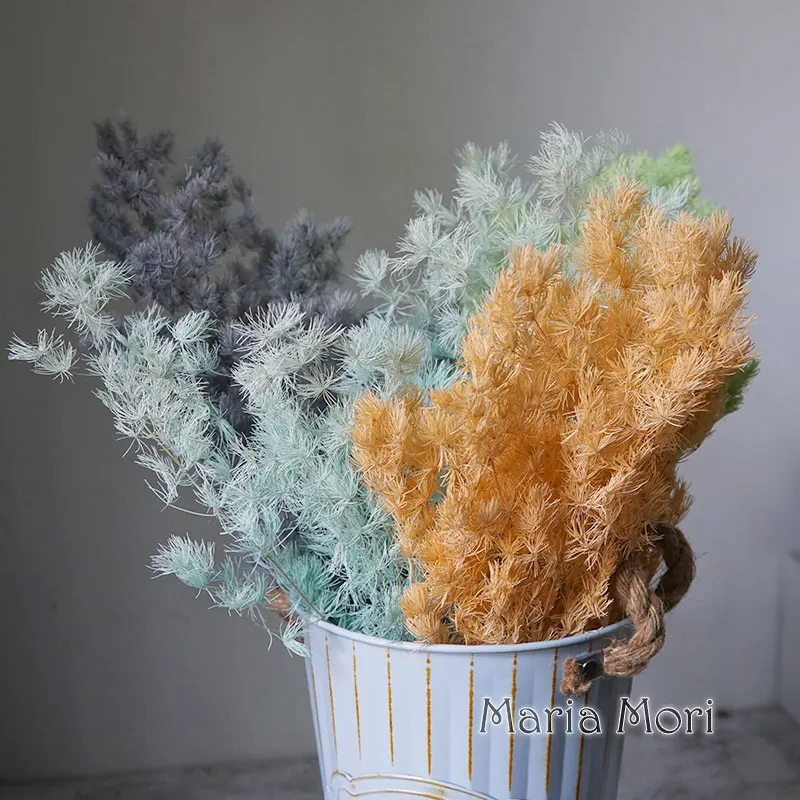 40g/espárragos coloridos Myriocladus Natural decorativo Penglai Song flores preservadas decoración del hogar de oficina decoración de boda