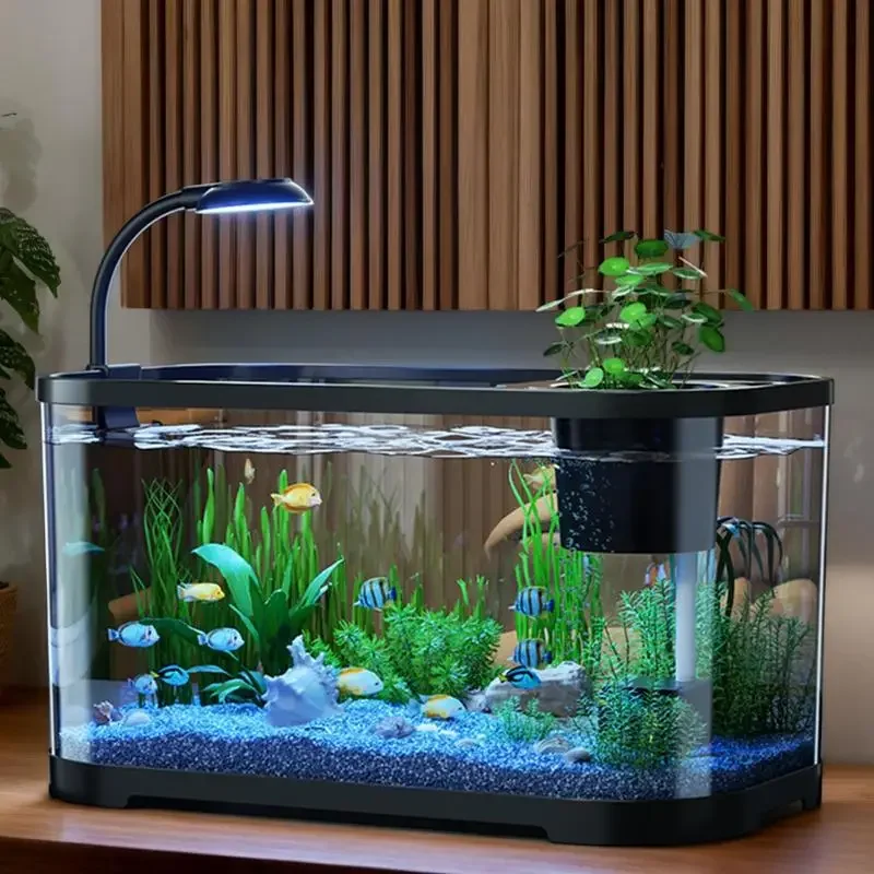 Small Beginner Betta Aquarium Kit 3
