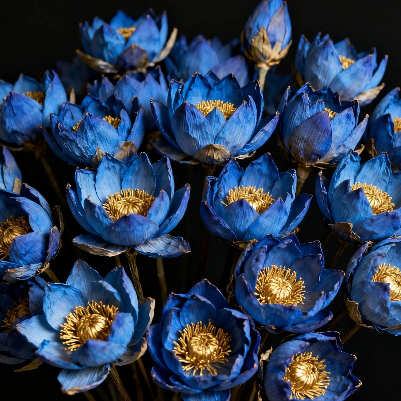 

Quality Lotus Blossom Dried Flower For Aromatic Soap Candle Lotus Flavor Homemade Perfume Essence Making Materials