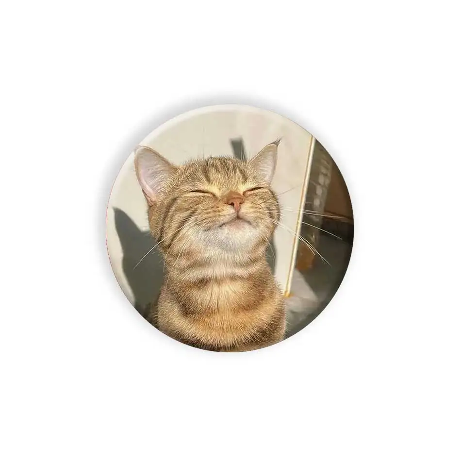 58mm Funny Cat Button Pins Cute Cartoon Badge Custom Round Brooch For Clothes Hat Backpack Cosplay Decorate Anime Accessories