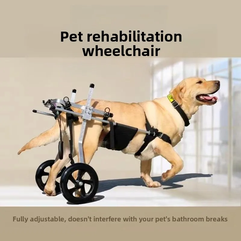 Large Breed Rear Leg Rehab Trainer, Adjustable Support Frame for Paralysis & Mobility Training for Pet Supplies