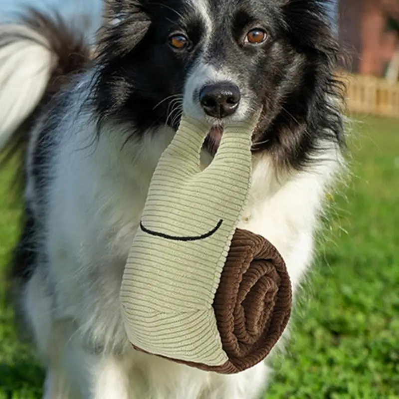 カタツムリの形をした犬のおもちゃ,犬のおもちゃ,かわいい,かわいい,食べ物,インタラクティブ,大きな,楽しい音