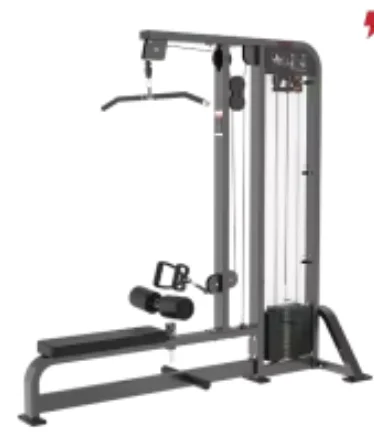 

Pull-Down Long Pulley Gym Fitness Machine for Biceps Exercise Bodybuilding Essential Strength Equipment Accessory for Gym