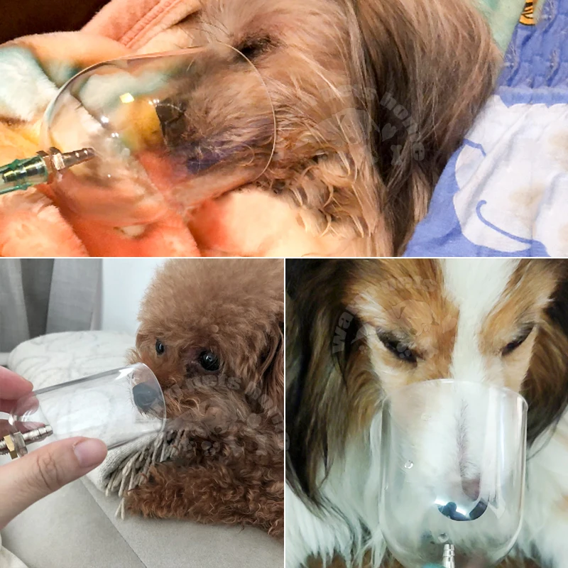 Pet Dog Cat Oxygen Mask Dogs Foxes Long Noses Animals Cylinder Oxygen Nebulizer Atomizing Masks Veterinary