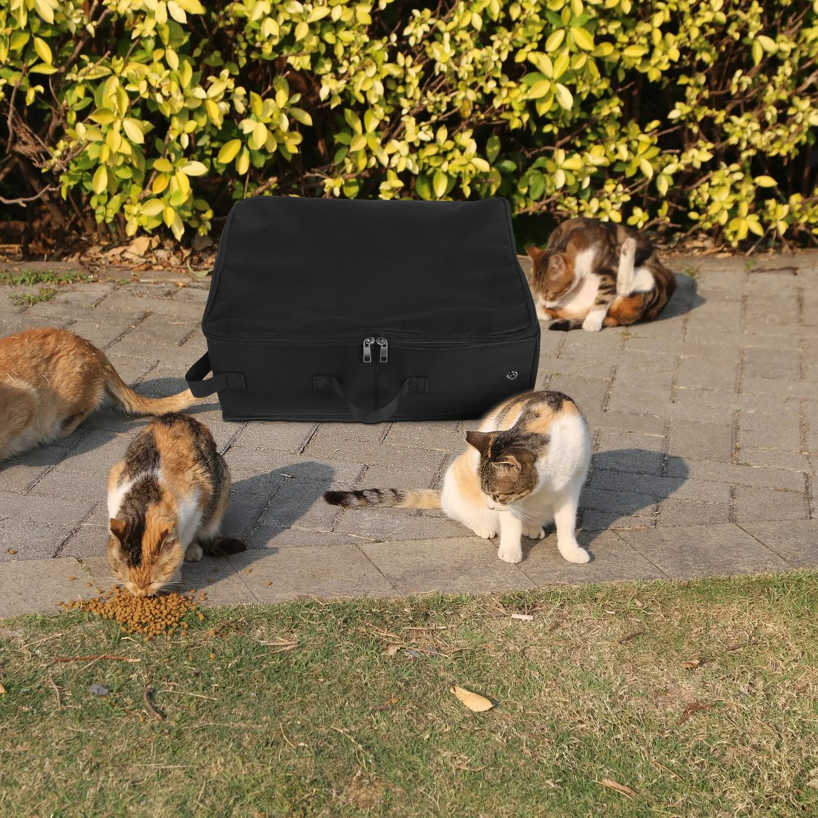 

Portable Cat Foldable Travel Litter Box For Cats Durable Polyester Pet Supplies Folding Litter Box For Travel Camping Hotel