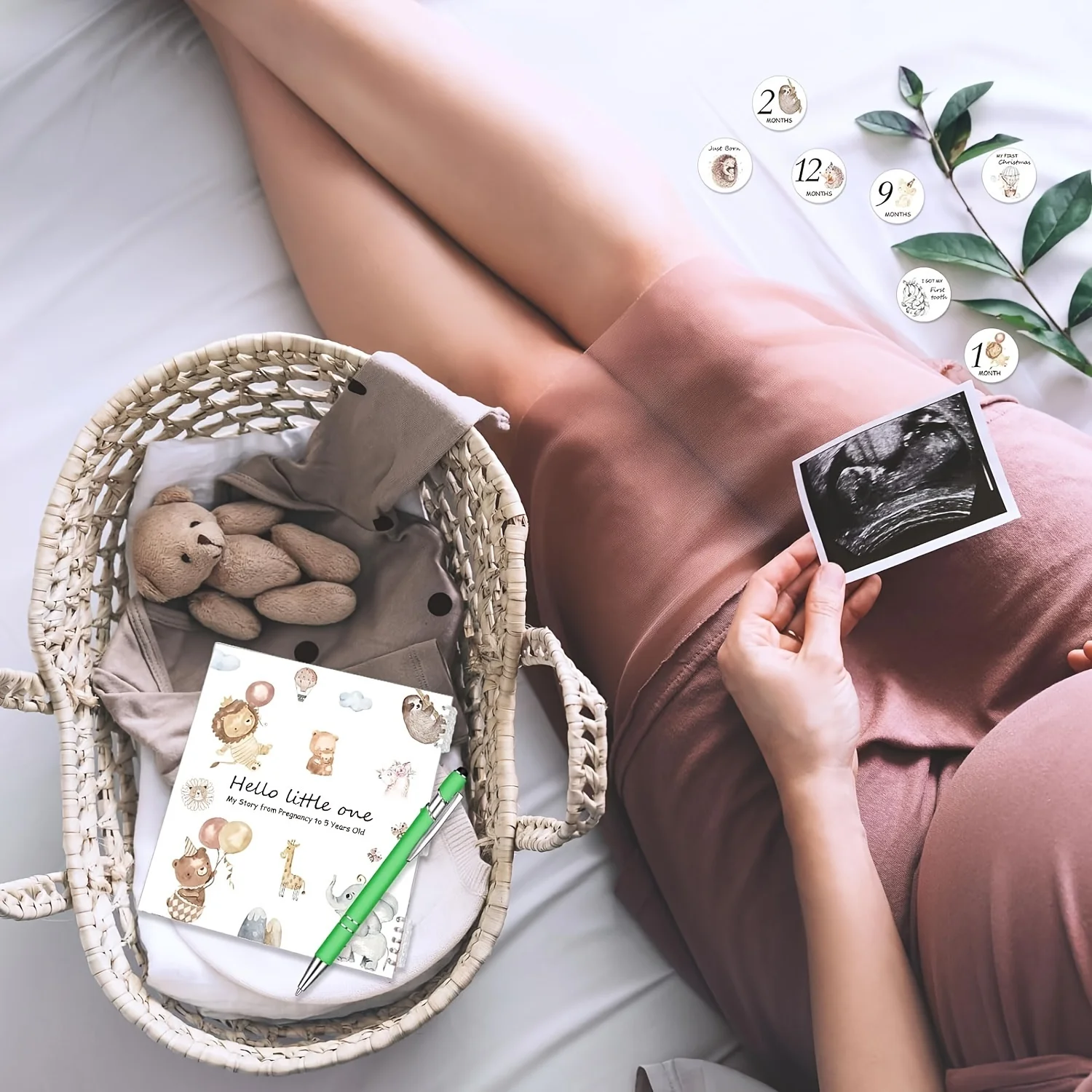 Pregnancy Baby Memory Journal 2