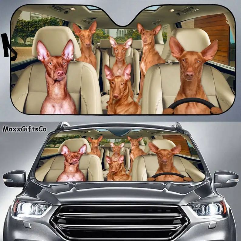 

Pharaoh Hound Car Sun Shade, Pharaoh Hound Windshield, Dogs Family Sunshade, Dog Car Accessories, Car Decoration, Gift For Dad,