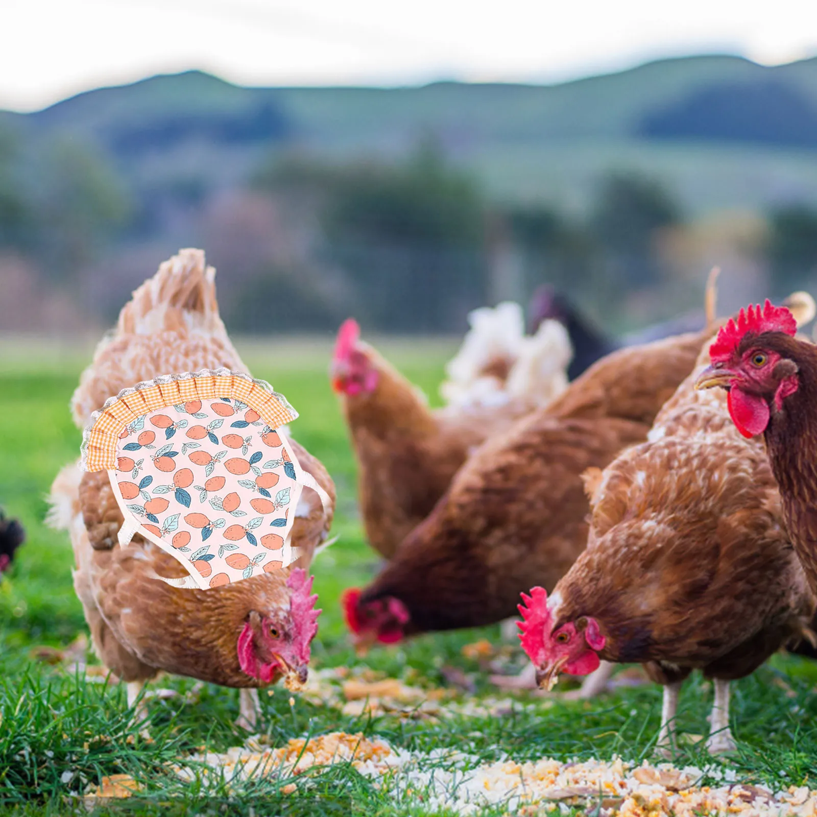 1PC grembiule da gallina elastico sella di pollo protezione piuma vestiti per animali domestici regolabili uccelli pollo vestito grembiule da