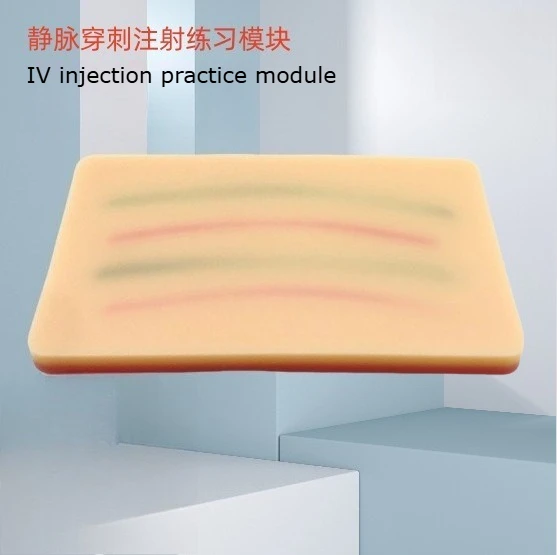 Realistic Silicone Arm Vein Practice Model for IV Injection Blood Draw Phlebotomy Training Medical Nursing Student Skill