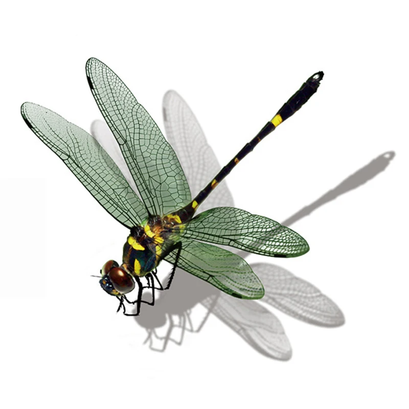 T353 # realistische Insekten Libelle Wanda uf kleber Bad Toilette Wohnzimmer Schrank Kühlschrank Home Decoration Aufkleber – Detail 7