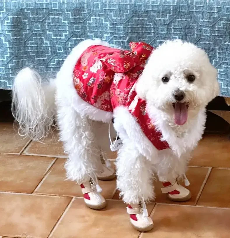 4Pcs/set Dog Teddy Dog Shoes, Pet Shoes, Dog Shoes That Don't Fall Off, Non Slip Shoes, Winter Version with Plush Shoes