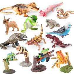 Oenux Forest Reptile Animals Wild Chameleon Frog Lizard Snake Action Figure Model Figurines Collection Toy For Kids Gift