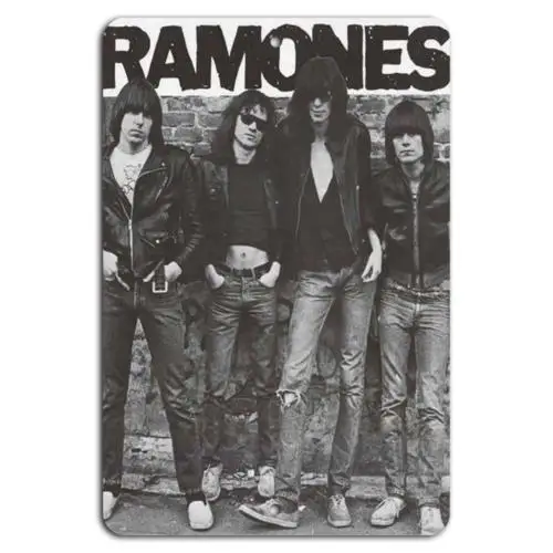 Punk Rock Rebels: Rock ;n; Roll Attitude-Aluminum
