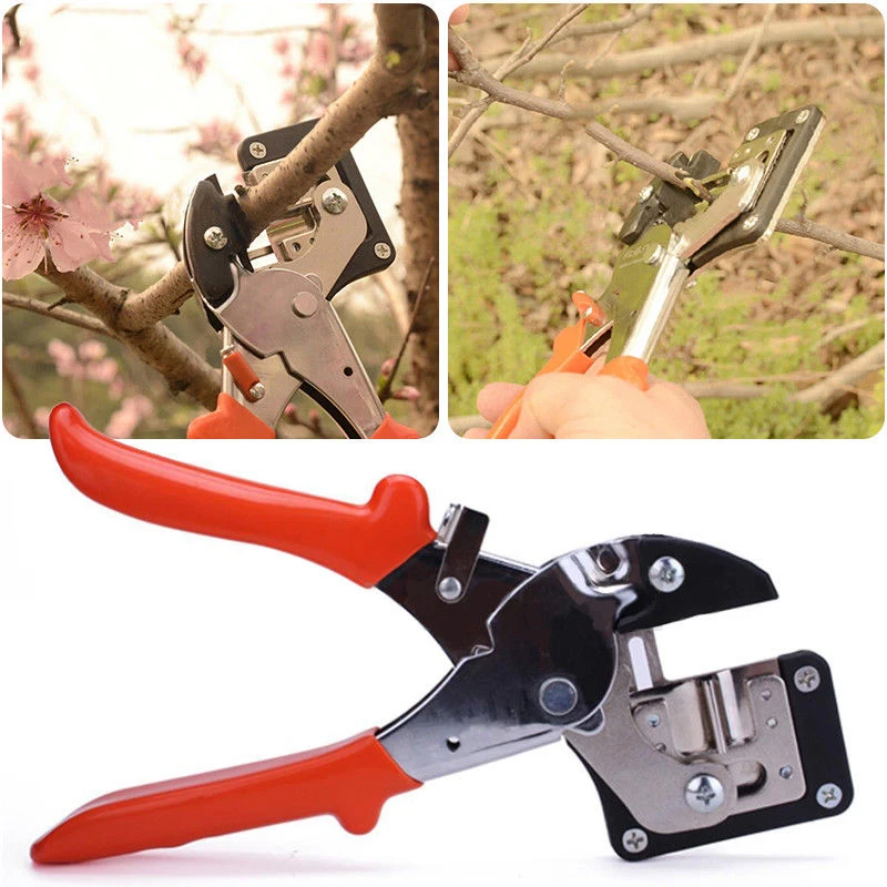 Imagem -02 - Garden Fruit Tree Pro Tesoura de Poda Tesoura Enxerto Ferramenta de Corte Pruner Árvore Engraft Tool Grupo 1pc