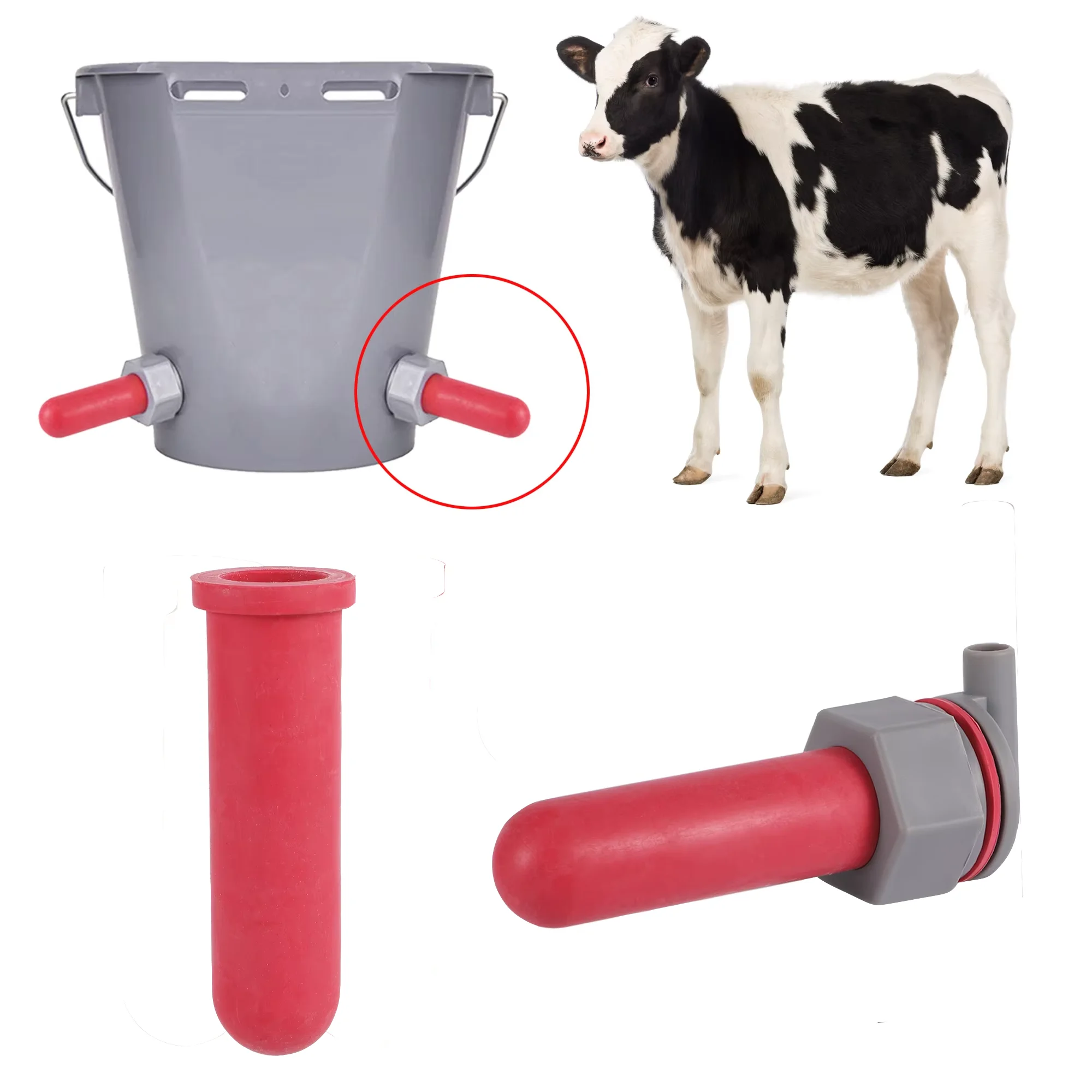 1Set Calf Feeding B…