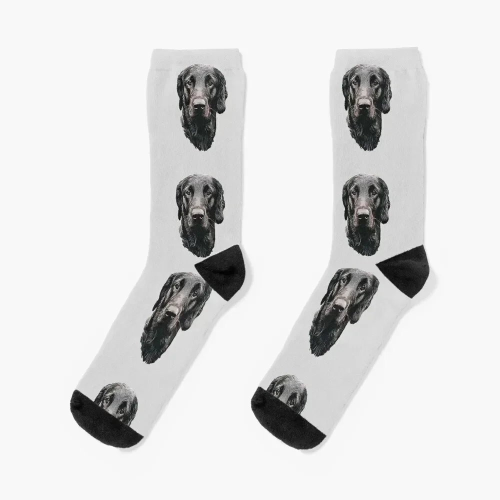 

Flat Coated Retriever - Stunning Dog! Socks cute FASHION Children's Lots Girl'S Socks Men's