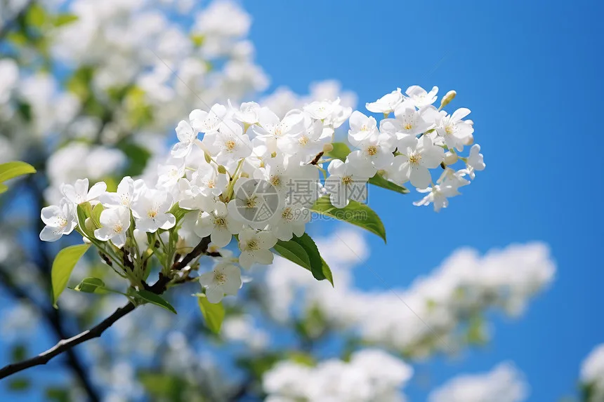 

Алюминиевый сервопривод FOR AXIAL 1/30 SCX30 K10, 28T, совместимый с оригинальными сервоприводами.