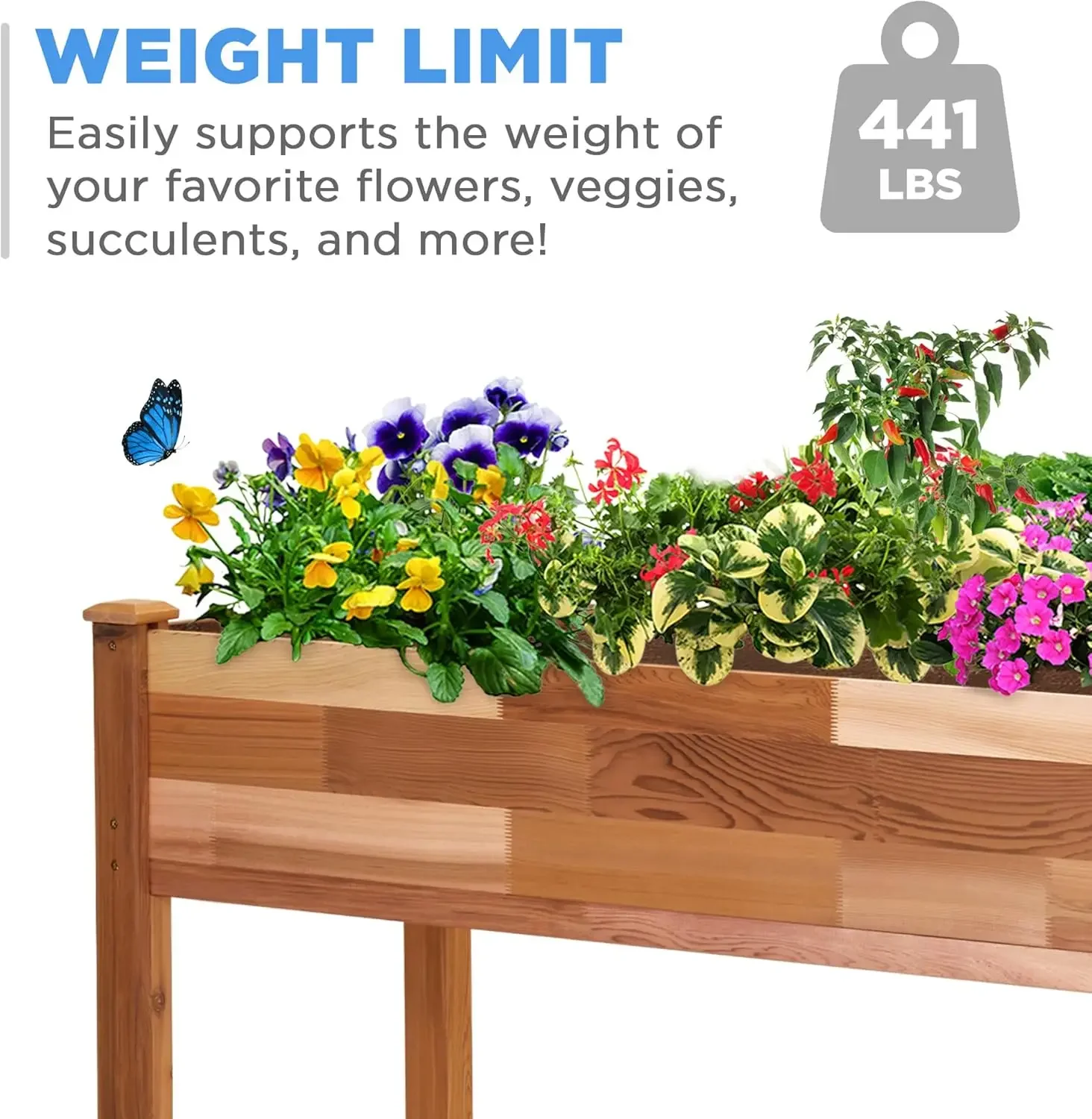 Jumbl Raised Canadian Cedar Garden Bed | Elevated Wood Planter for Growing Fresh Herbs, Vegetables, Flowers, Succulents