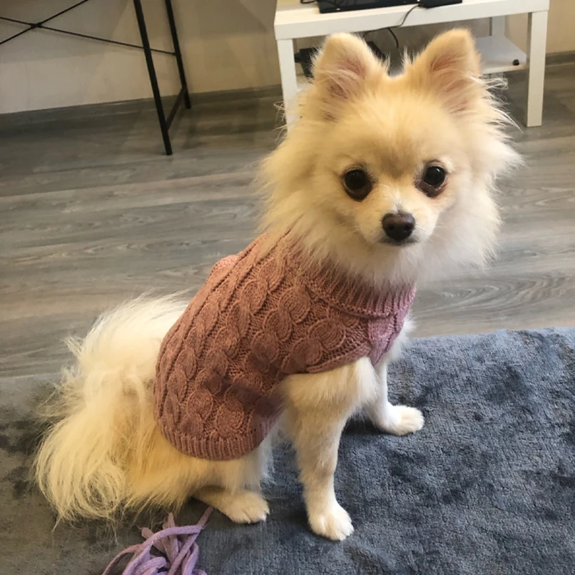 Pet Clothing Winter Warm Sweaters for Small Medium Dogs Turtleneck Knitted Puppy Cat Sweater Vest Chihuahua Yorkie Coat Jacket