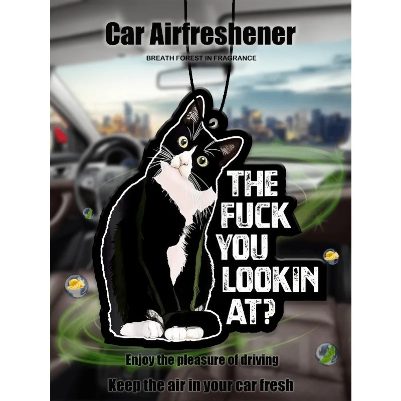 Funny cat 