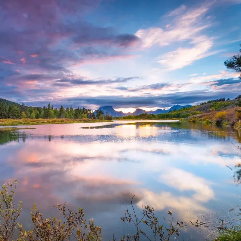 

Make up the price difference link