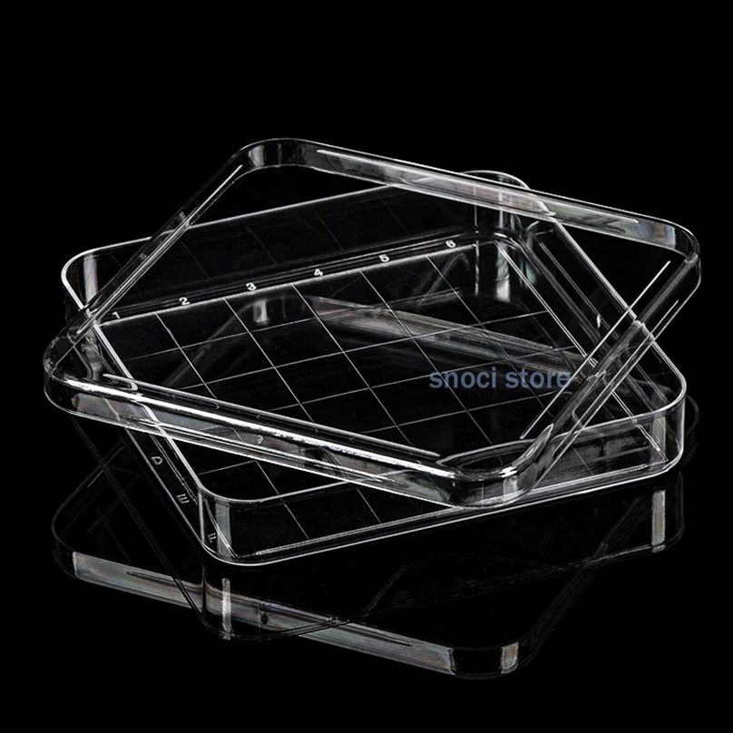 100x100mm Petri Dishes with Lid, Sterile Plastic 100mm Dia x 15mm Deep，Polystyrene Square 10cm Petri Dish for lab