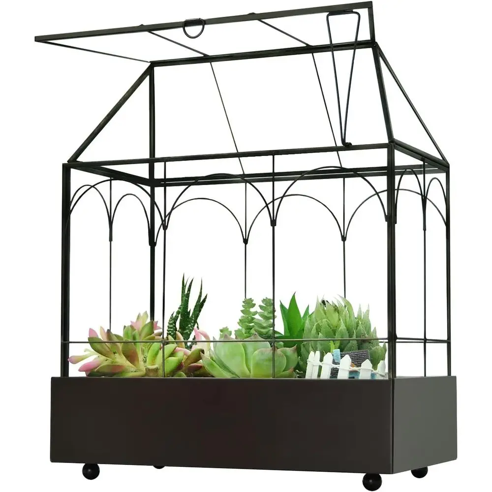 

Large Tall Glass Plant Terrarium – House Succulent Terrarium Kit with Lip and Tray Glass Greenhouse Terrarium for Plant 9.5”X5.7