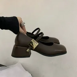 Spring Women Mary Jane Shoes Fashion Shallow Buckle Ladies Elegant Square Heel Single Shoes Street Style Pumps Shoes