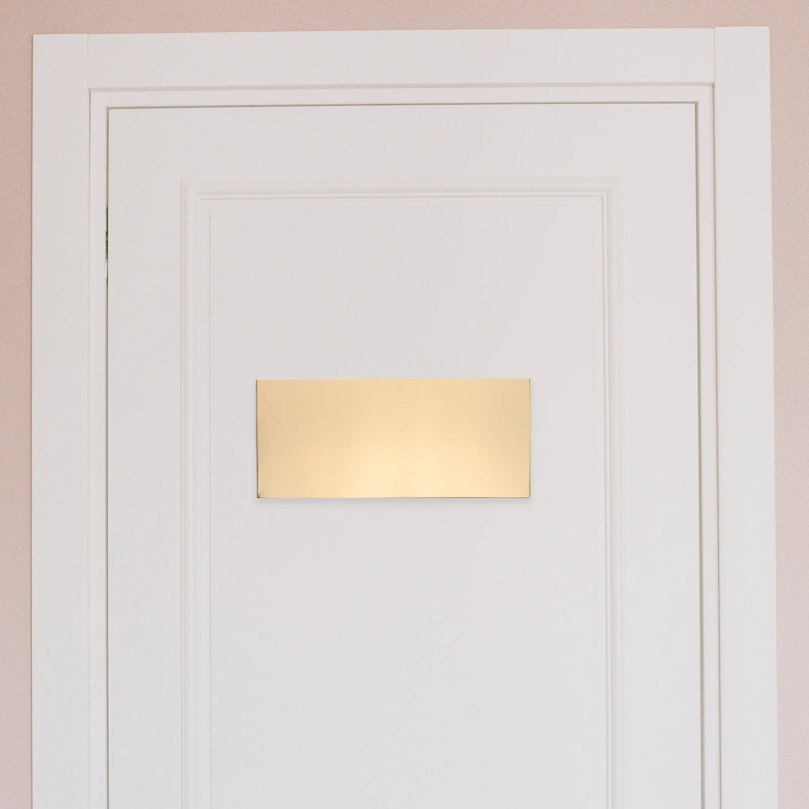 

2Pcs Blank Plaque Door Sign 25x11cm Brushed Stainless Steel Self Adhesive Metal Nameplate for Office Room Wall Entrance