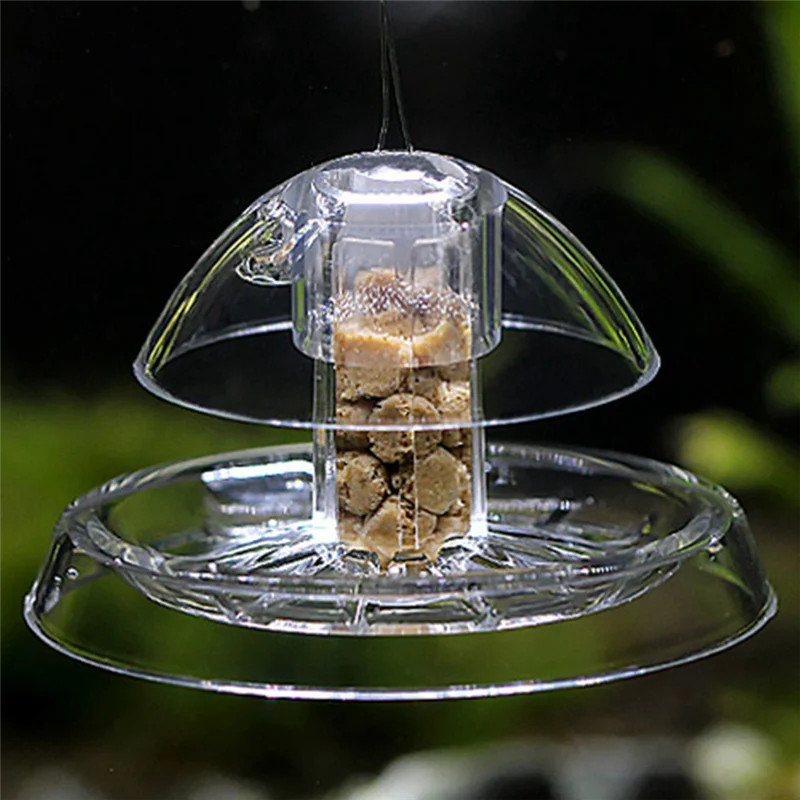 يوصى به بشدة إزالة خزان الحلزون صائد الحلزون لالتقاط الخزان في الخزان الشفاف 2 قطعة