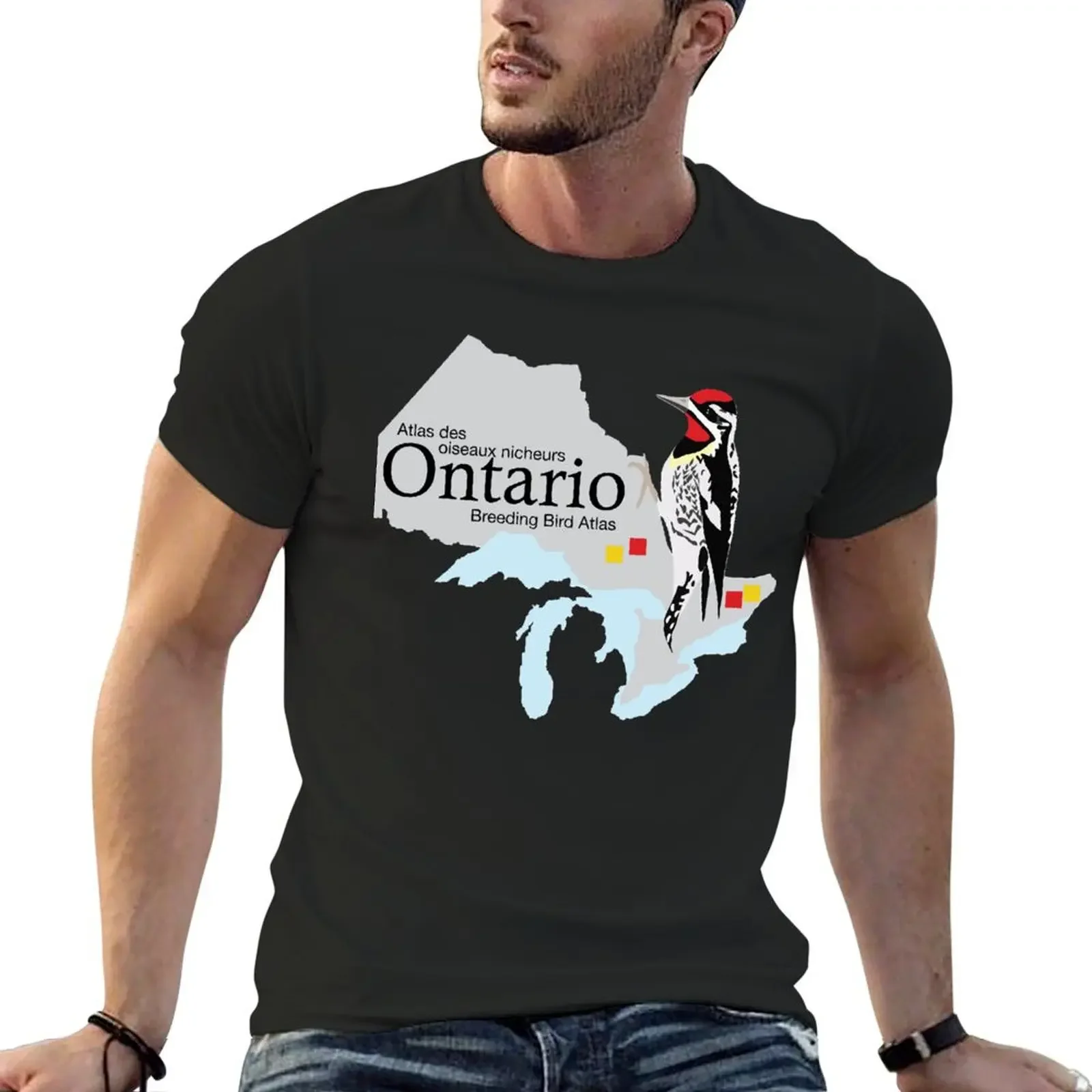 

Ontario Breeding Bird Atlas Standard Logo Classic T-Shirt for a boy sweat mens tall t shirts