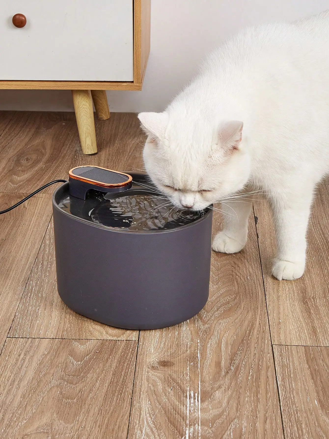 An automatic live water USB plug-in pet water dispenser suitable for cats and dogs when they can drink water