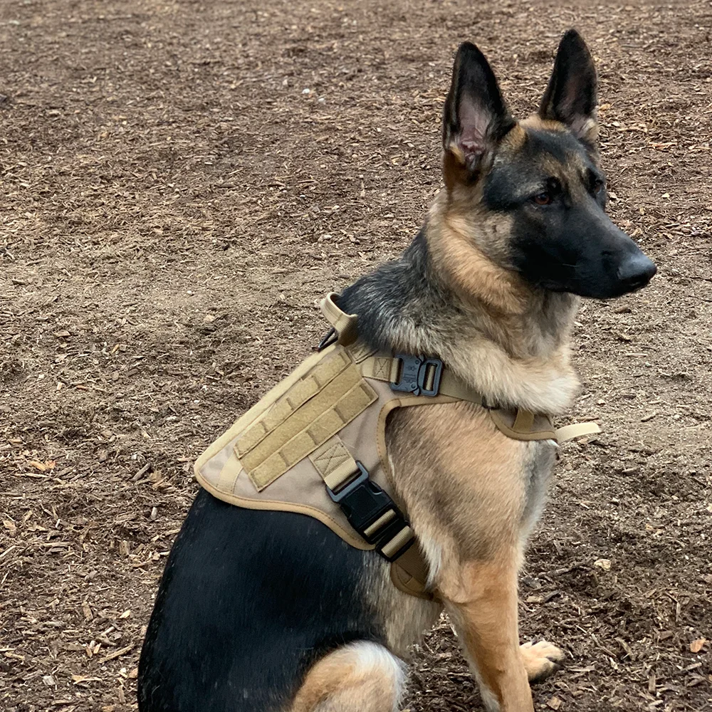 Groot Hondentuig Tactisch Verstelbaar Kitten Militair Hondenvest Bedieningshendel Voor Alle Maten Honden Uitlooptraining