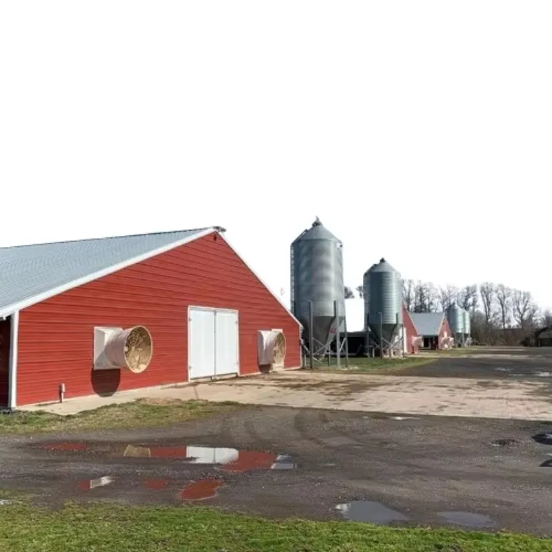 

Prefabricated Light Weight Steel Structure Chicken House Shed