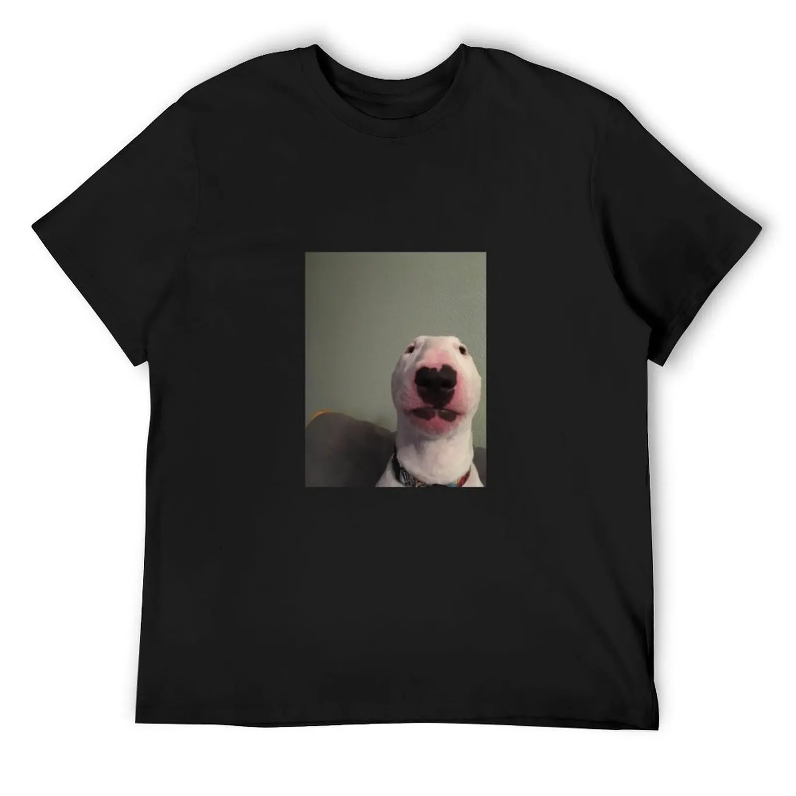 

Walter Meme T-Shirt Clothing T-shirts man Aesthetic clothing mens tall t shirts