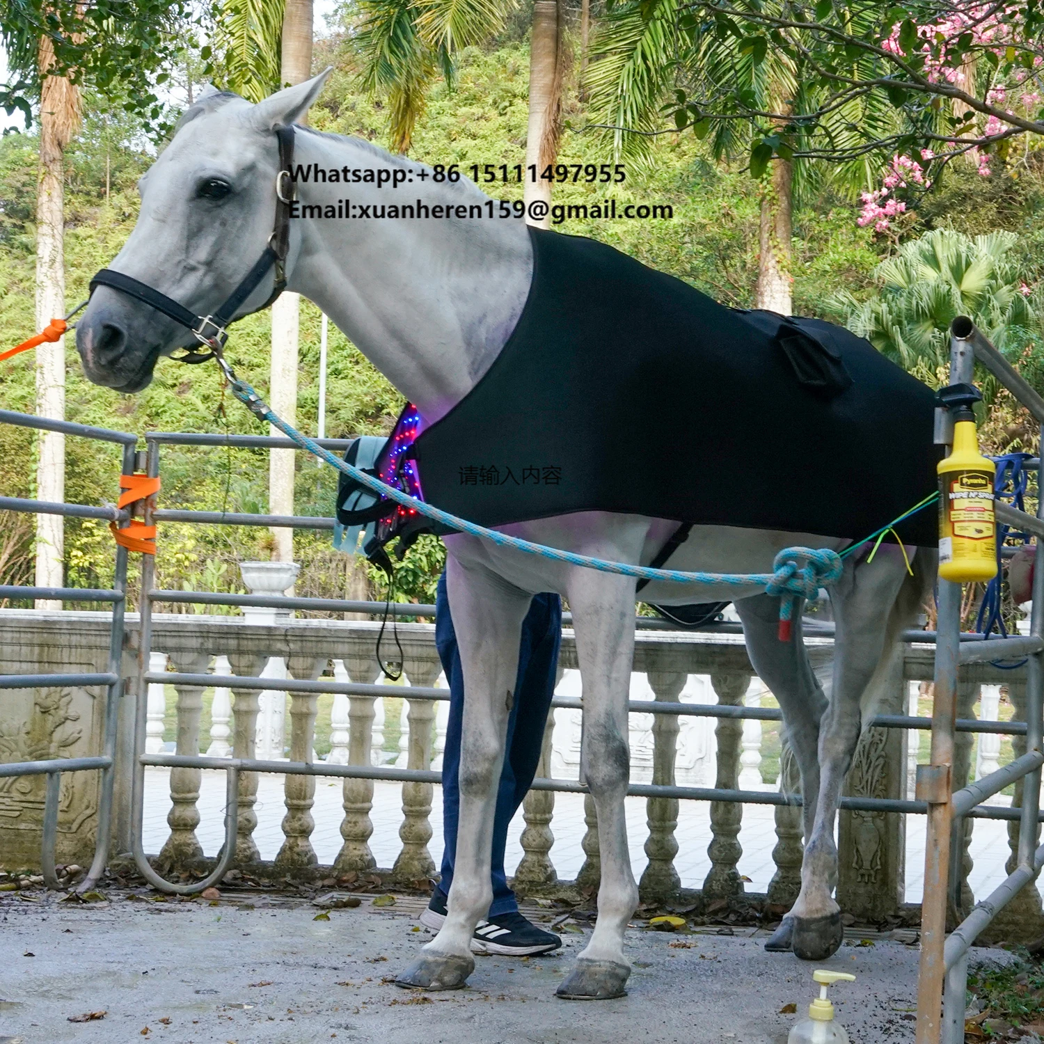 

Hot Sell Led 460/660/850nm Grow Red Light Therapy Horse Equipment Equine Products Equestrian Rugs Horse Rug