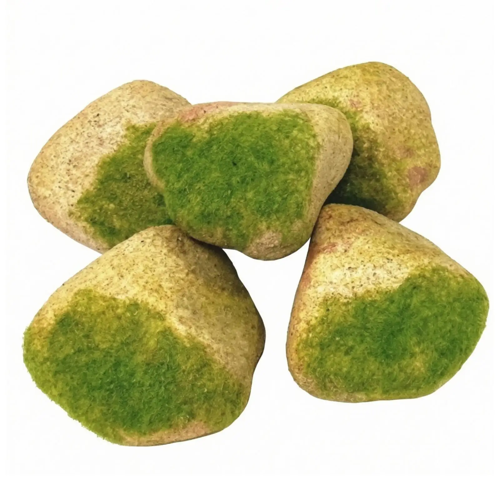5 Pieces Lichen Stone Cluster Realistic Artificial Stone Cluster Lifelike