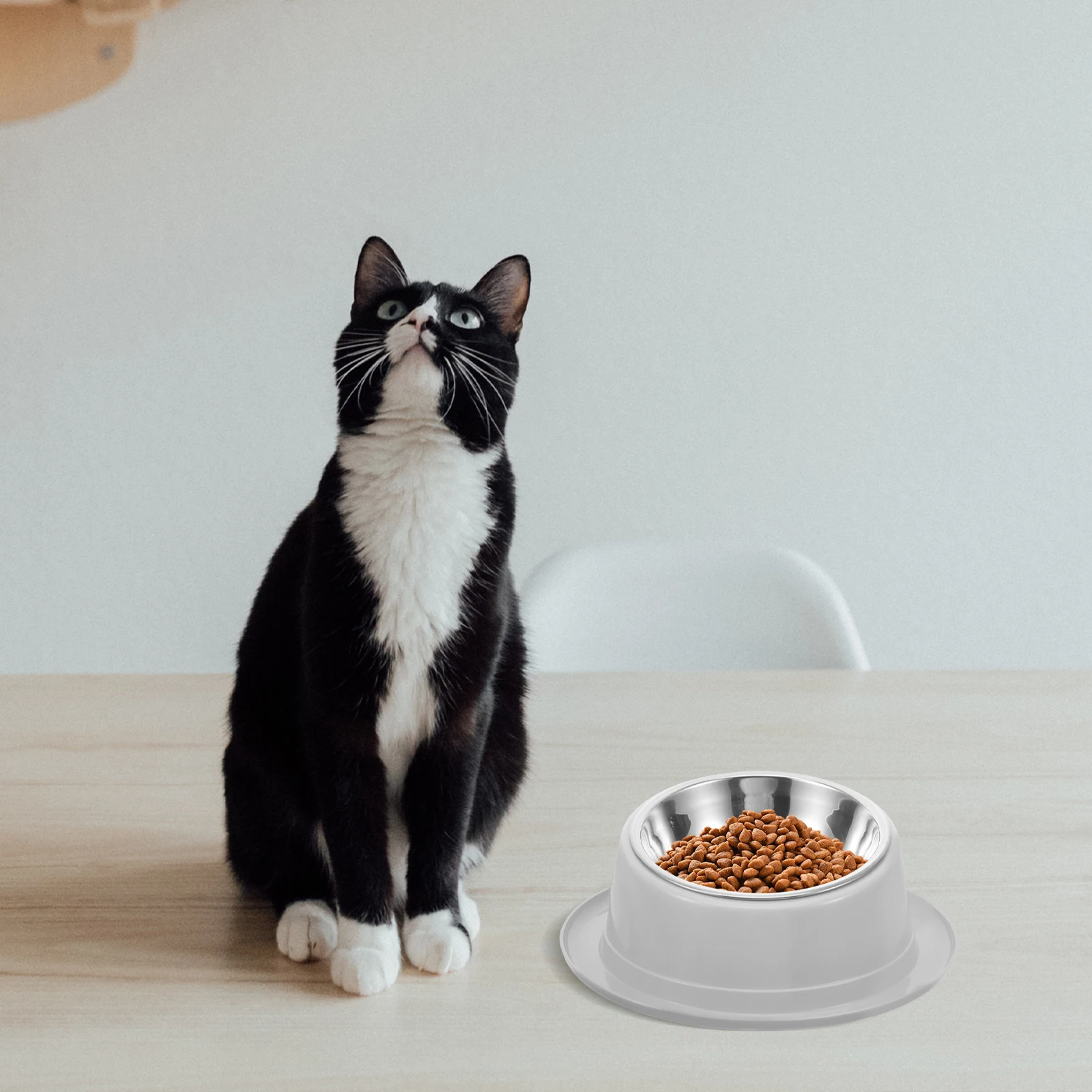 

Stainless Steel Pet Bowl Anti-Slip Design for Cat Dog Blue Unique Stable Ornament Home Decor Pet Feeder Cat Bowl