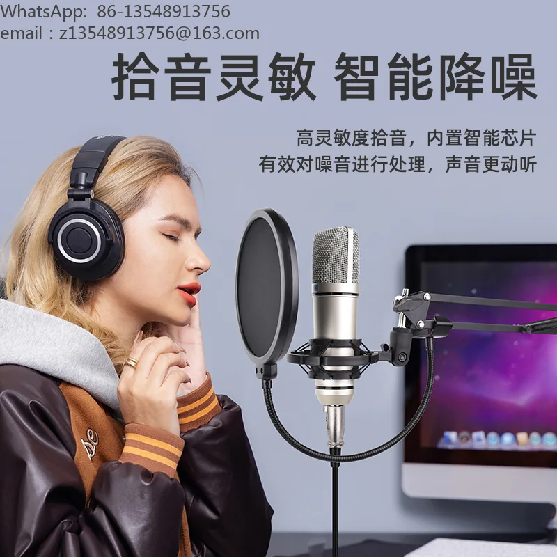 48V Condenser Microphone Set, Large Diaphragm Recording Mic for Computer Voice Over Professional Audio Capture